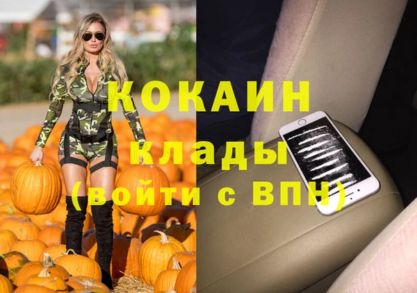 ешки Мегион