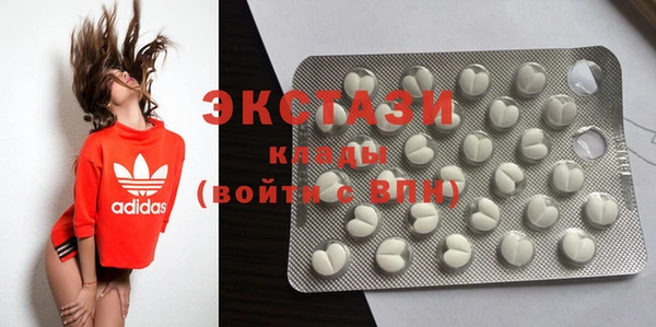 индика Тавда