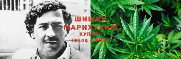 тгк Михайловск